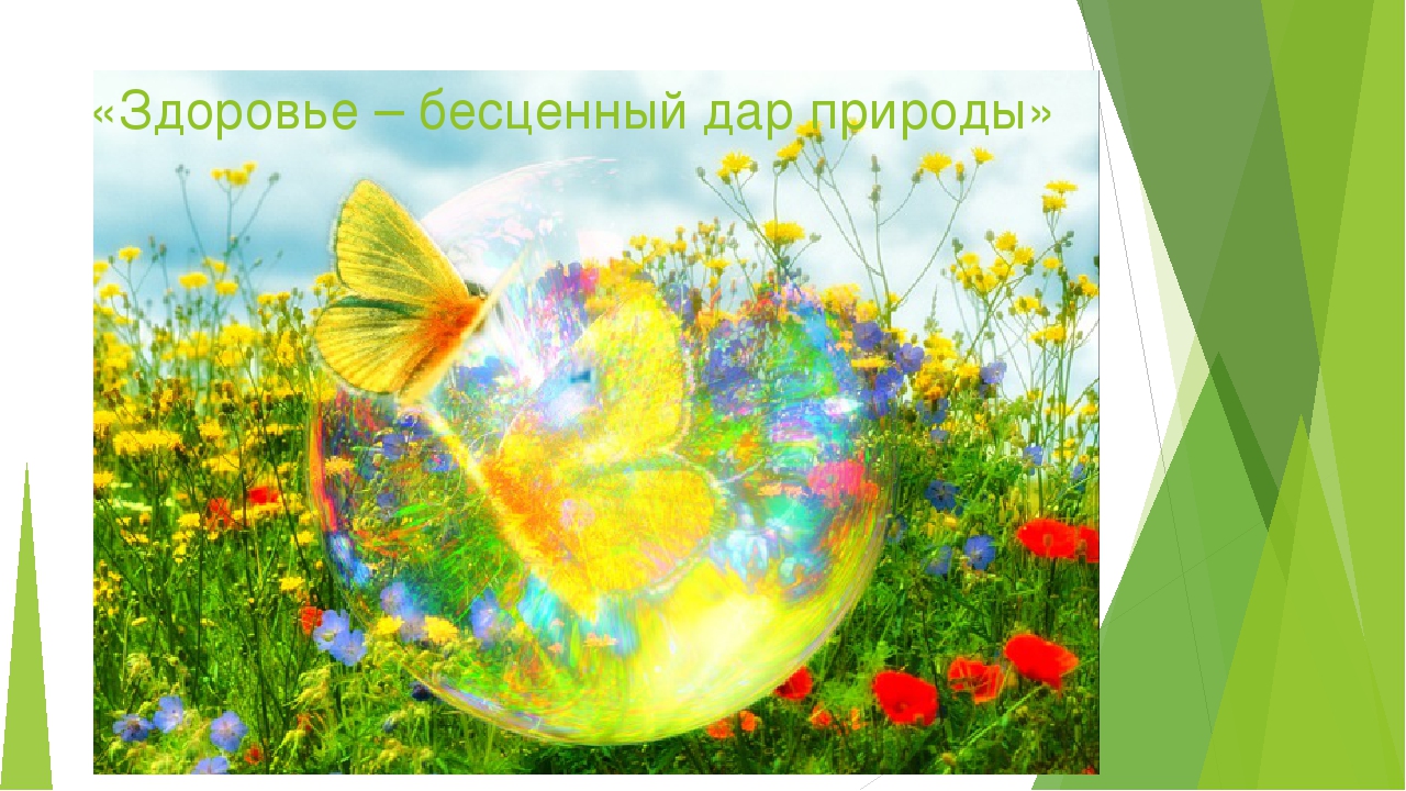 Конспект занятия для детей старшего дошкольного возраста «Здоровье – бесценный дар природы».