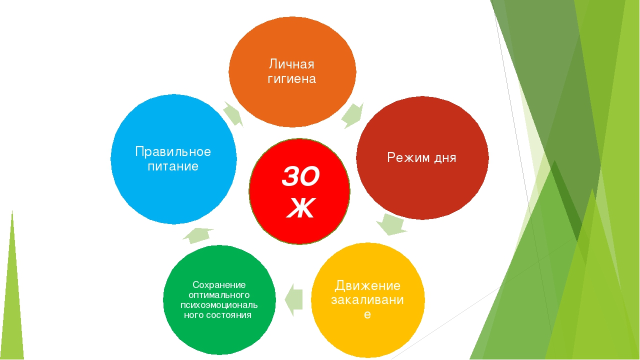 Конспект занятия для детей старшего дошкольного возраста «Здоровье – бесценный дар природы».