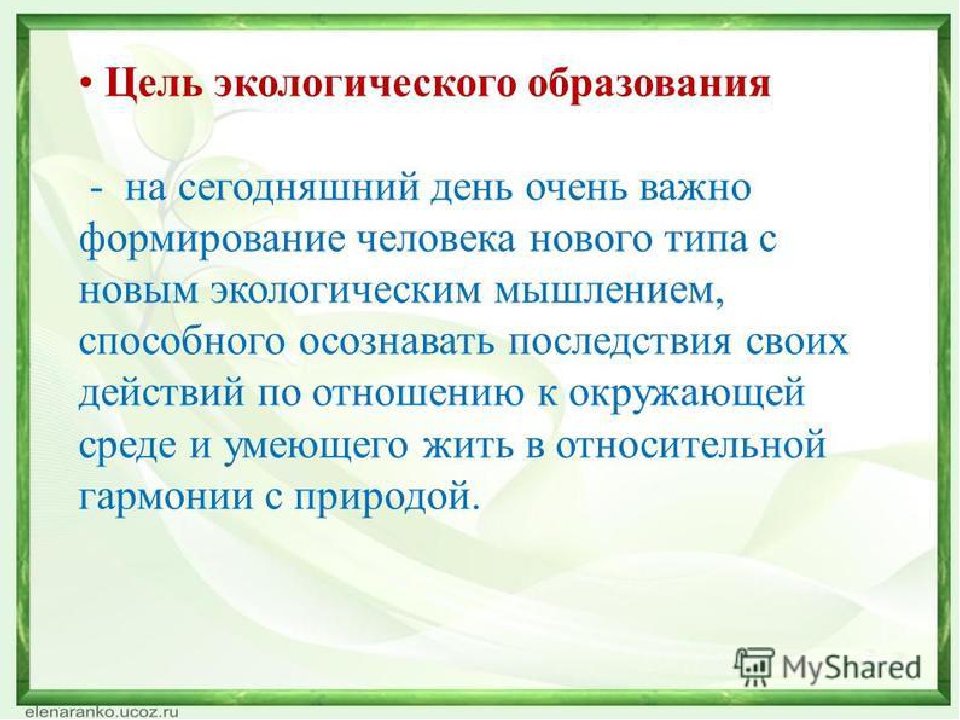 Проект "Экологическое воспитание старших дошкольников"