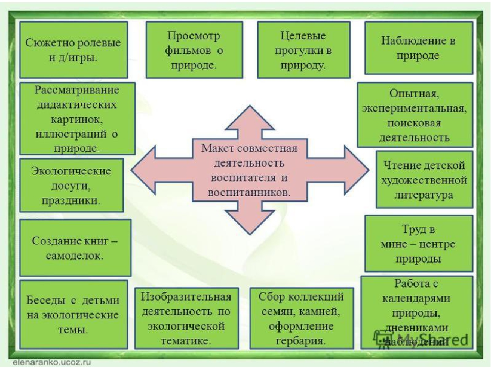 Проект "Экологическое воспитание старших дошкольников"
