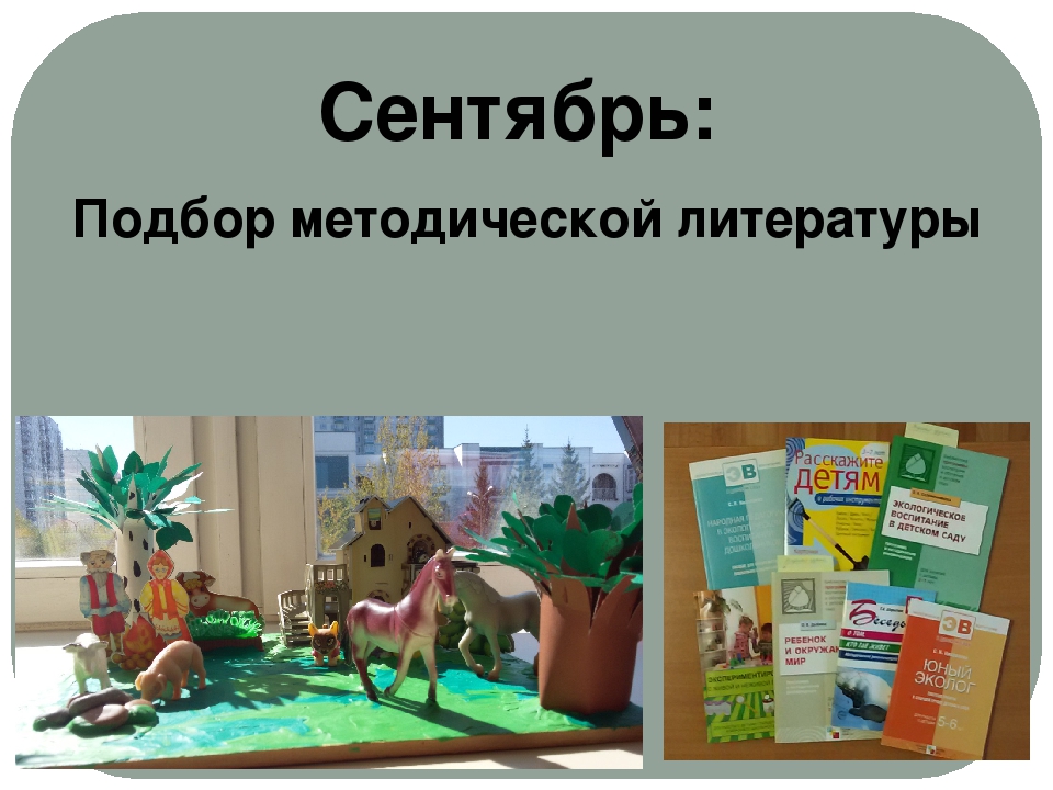 Проект "Экологическое воспитание старших дошкольников"