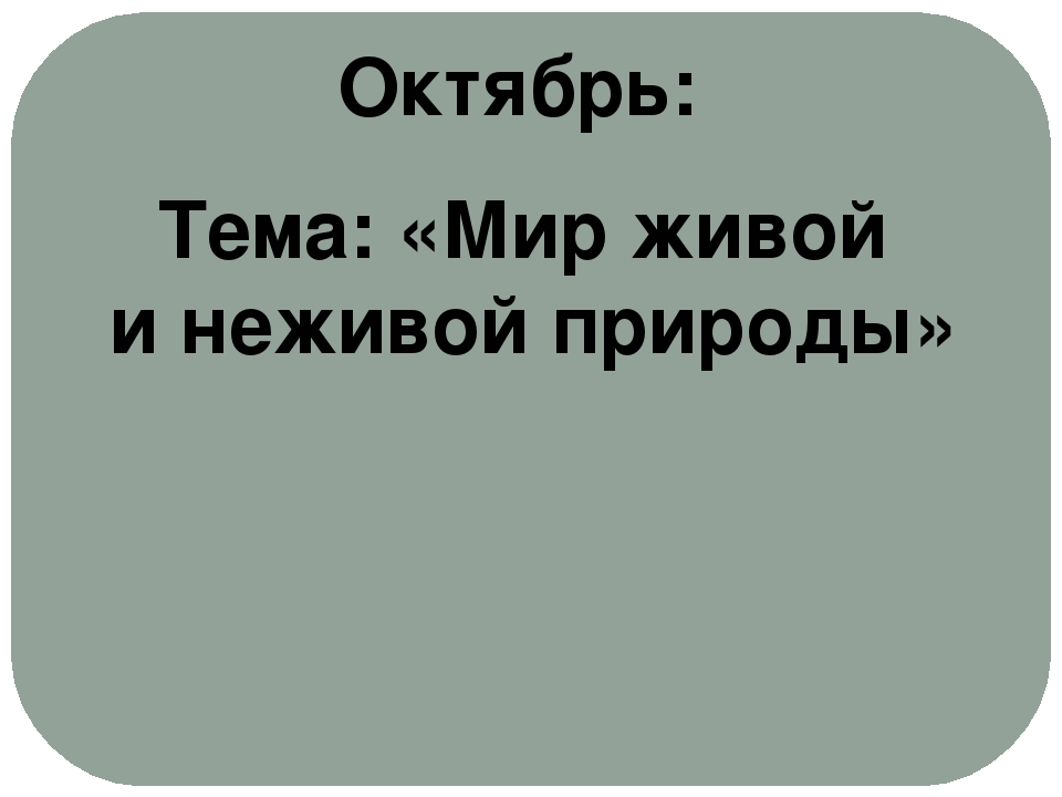Проект "Экологическое воспитание старших дошкольников"