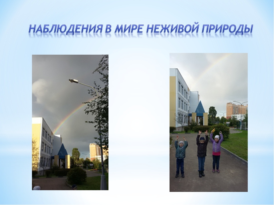 Проект "Экологическое воспитание старших дошкольников"