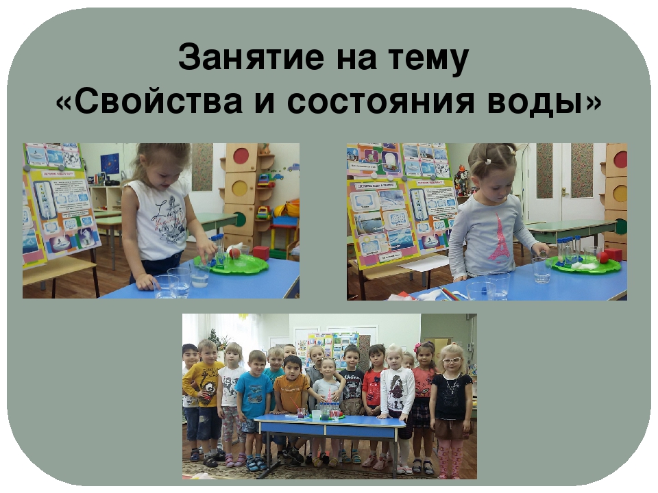 Проект "Экологическое воспитание старших дошкольников"