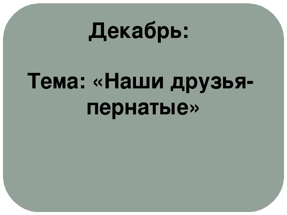 Проект "Экологическое воспитание старших дошкольников"