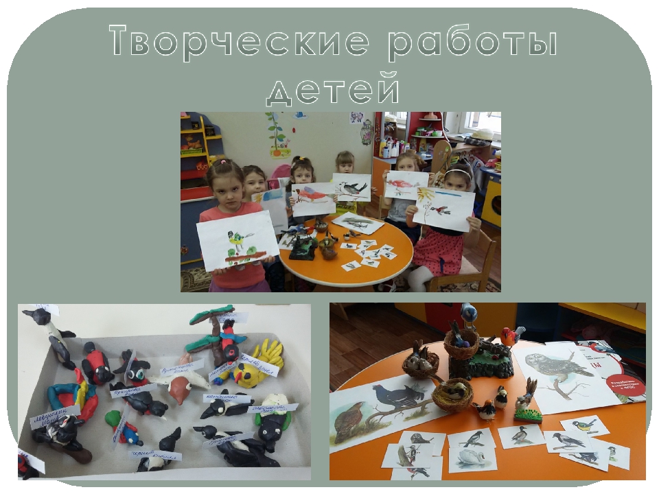 Проект "Экологическое воспитание старших дошкольников"