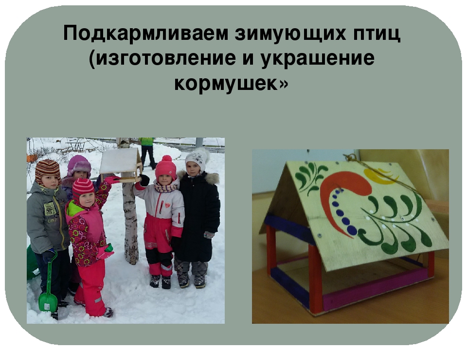 Проект "Экологическое воспитание старших дошкольников"