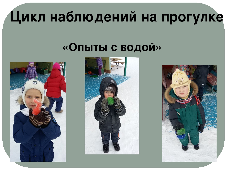 Проект "Экологическое воспитание старших дошкольников"