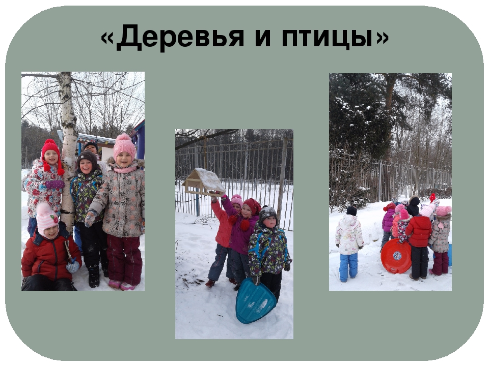 Проект "Экологическое воспитание старших дошкольников"