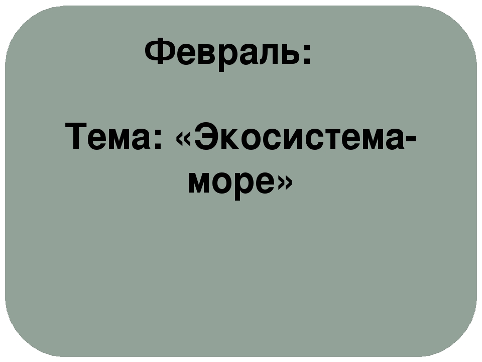 Проект "Экологическое воспитание старших дошкольников"