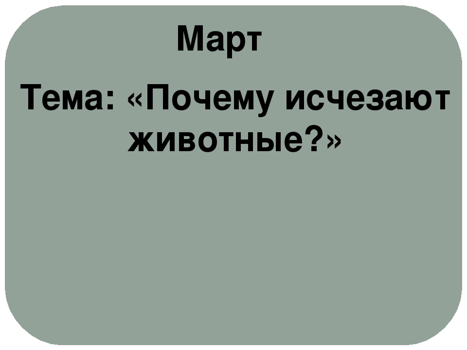 Проект "Экологическое воспитание старших дошкольников"