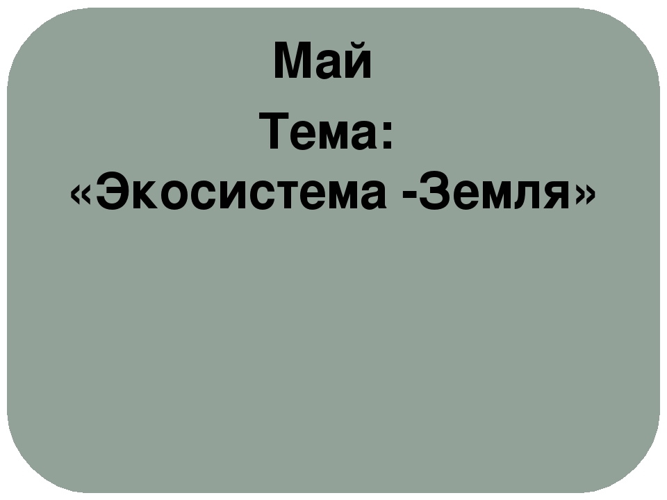 Проект "Экологическое воспитание старших дошкольников"