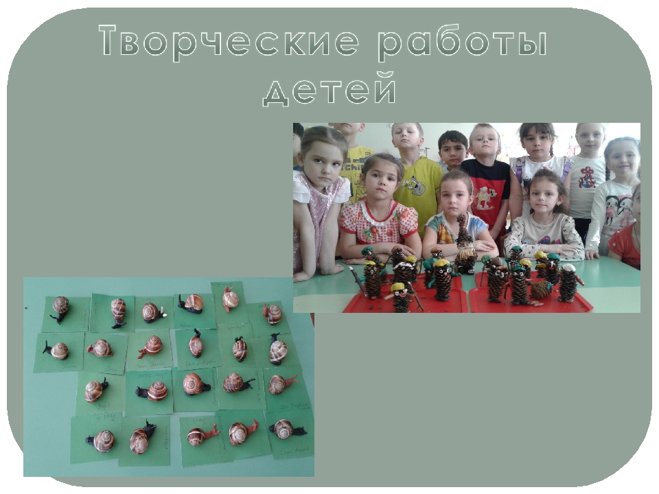 Проект "Экологическое воспитание старших дошкольников"