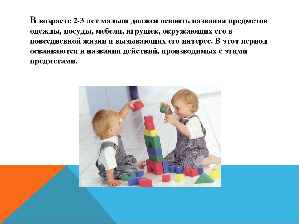 Дидактическая игра как средство речевого развития дошкольника