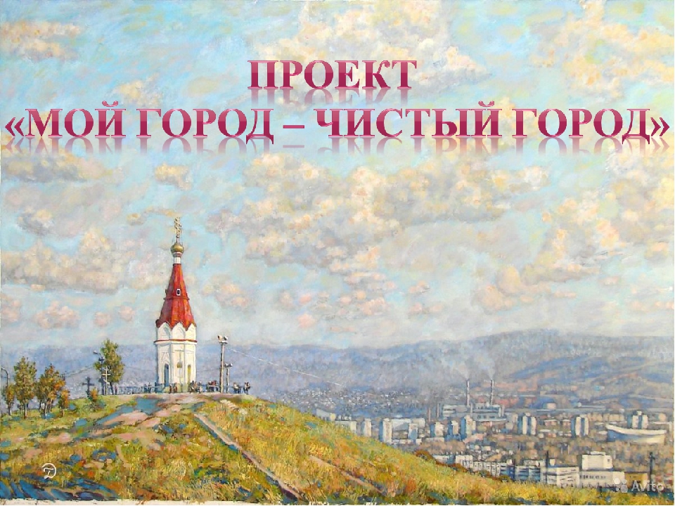 Проект "Мой город - чистый город"