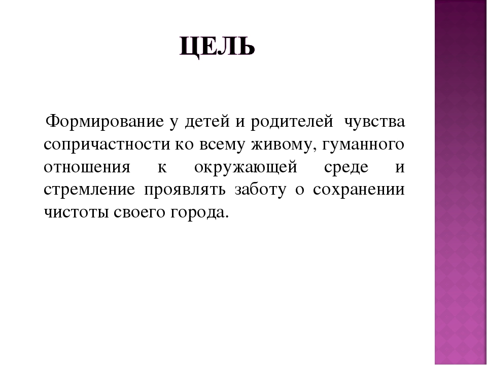 Проект "Мой город - чистый город"