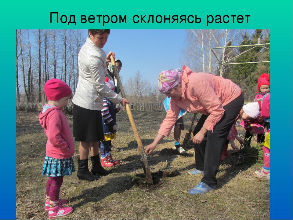 Презентация "Воспитание любви к родной природе, как одно из средств патриотического воспитания"