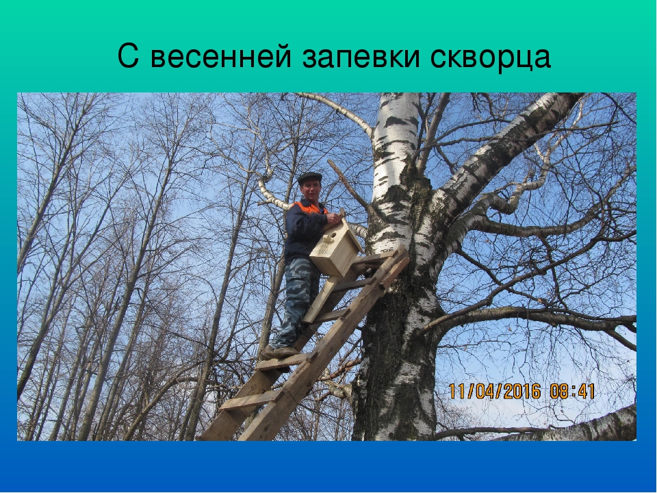 Презентация "Воспитание любви к родной природе, как одно из средств патриотического воспитания"
