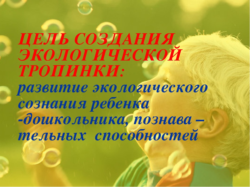 Экологическая тропинка как средство развития познавательных способностей дошкольников