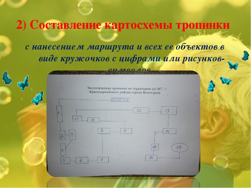Экологическая тропинка как средство развития познавательных способностей дошкольников