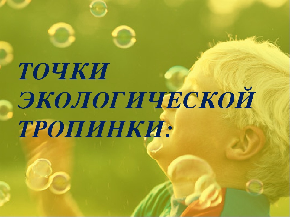 Экологическая тропинка как средство развития познавательных способностей дошкольников