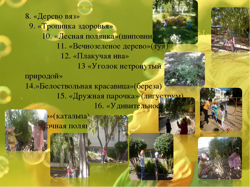 Экологическая тропинка как средство развития познавательных способностей дошкольников