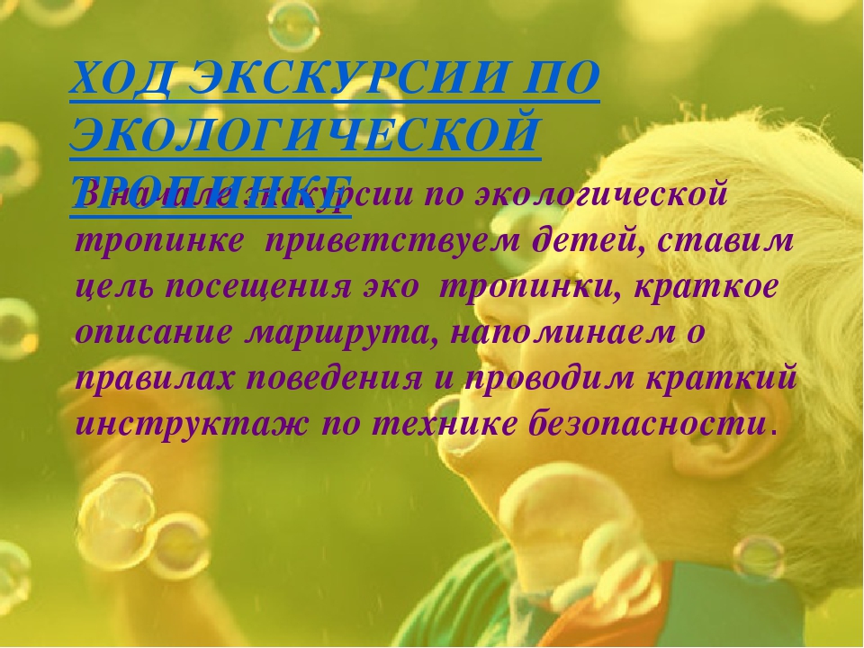 Экологическая тропинка как средство развития познавательных способностей дошкольников