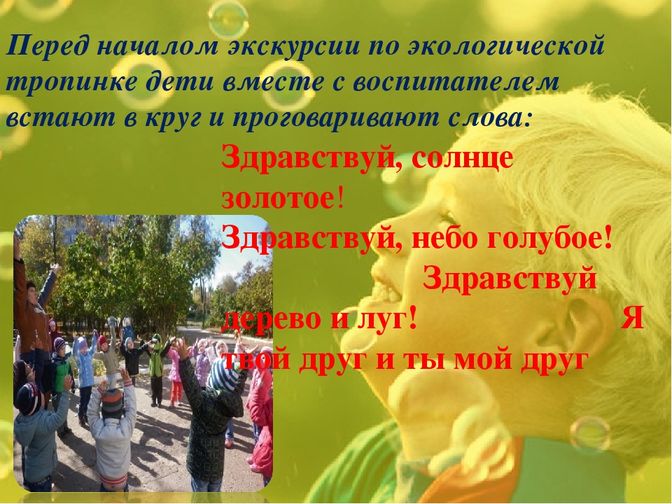 Экологическая тропинка как средство развития познавательных способностей дошкольников