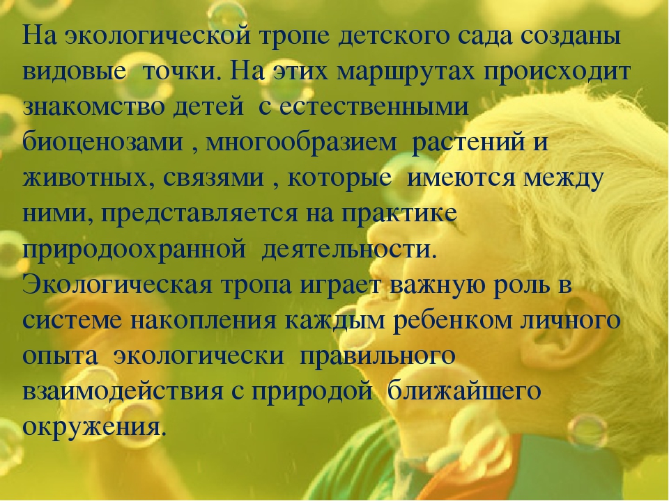 Экологическая тропинка как средство развития познавательных способностей дошкольников