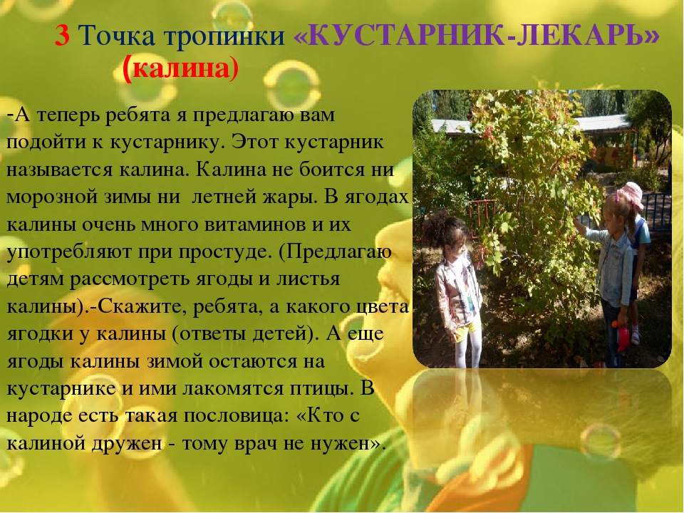Экологическая тропинка как средство развития познавательных способностей дошкольников