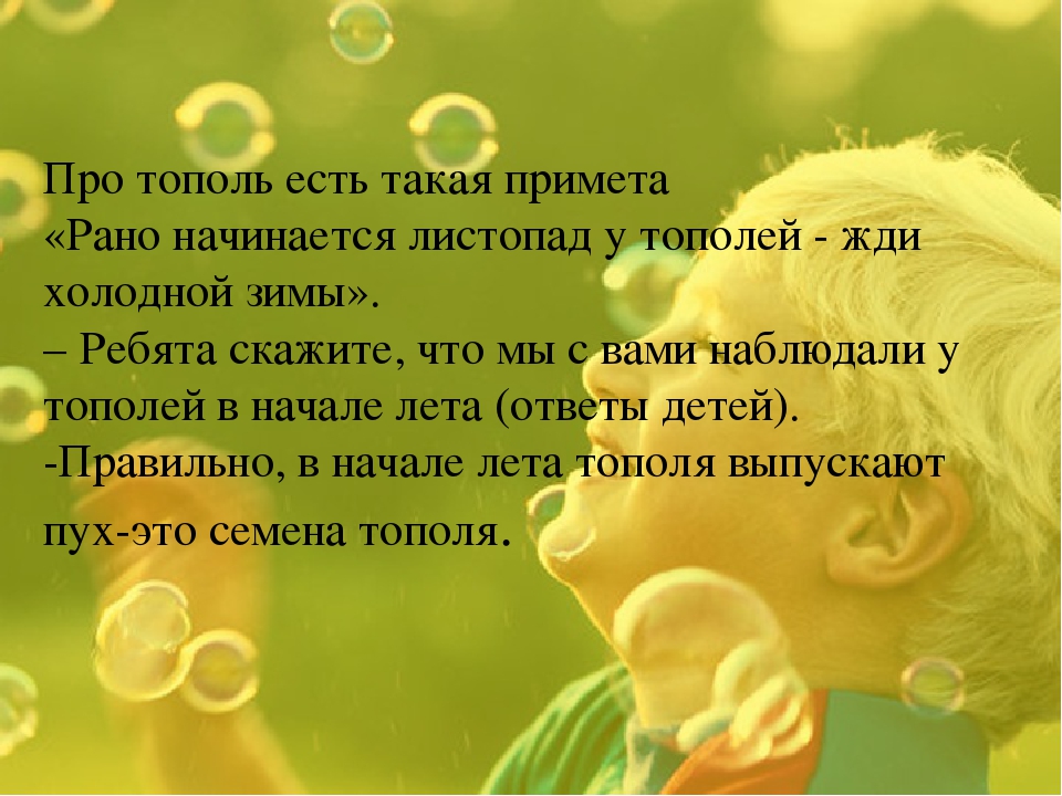 Экологическая тропинка как средство развития познавательных способностей дошкольников