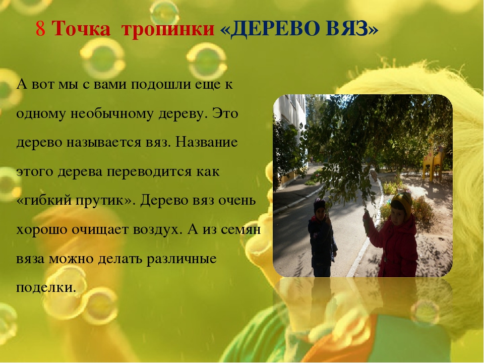 Экологическая тропинка как средство развития познавательных способностей дошкольников