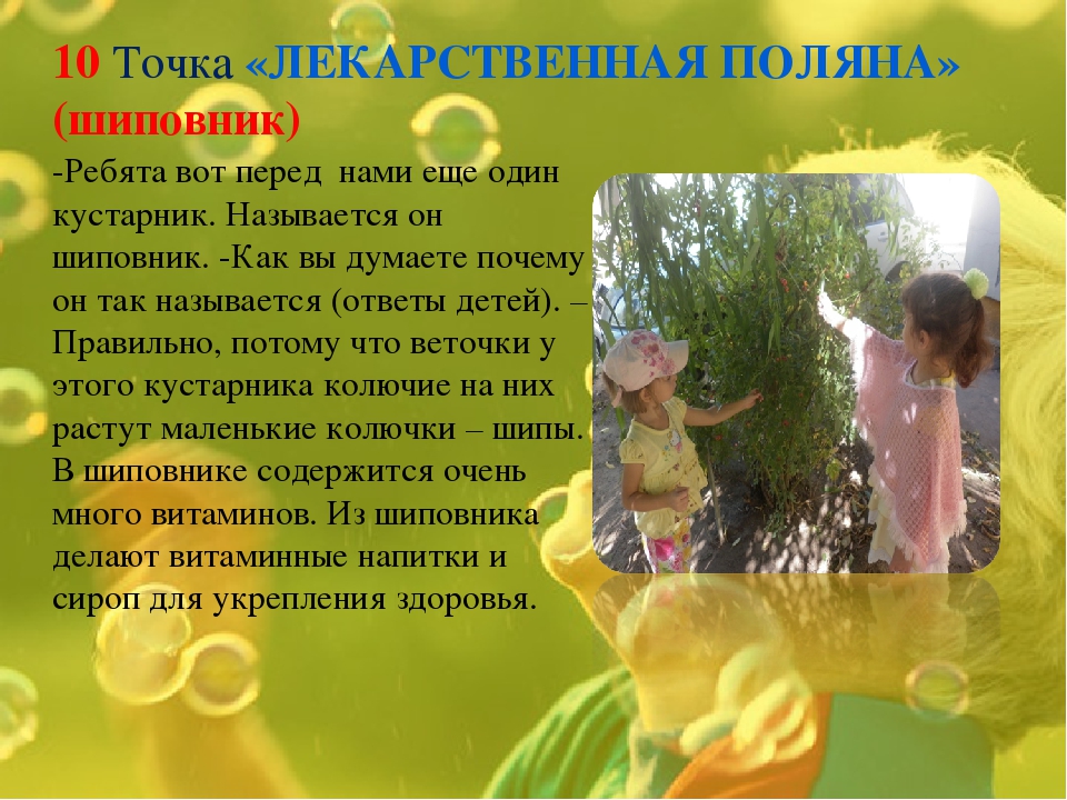 Экологическая тропинка как средство развития познавательных способностей дошкольников