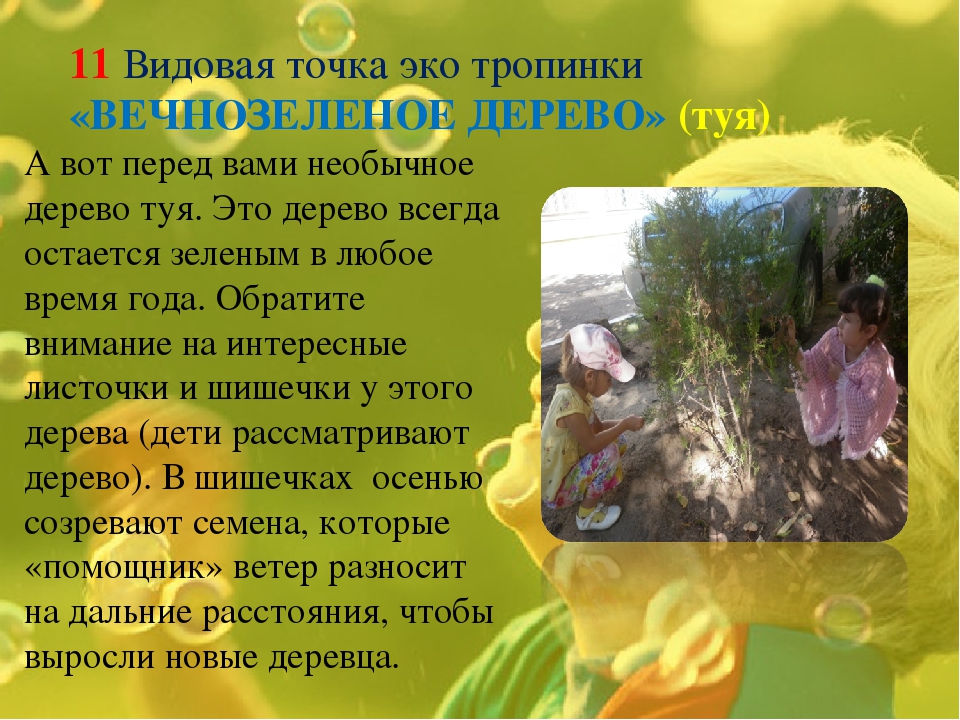 Экологическая тропинка как средство развития познавательных способностей дошкольников