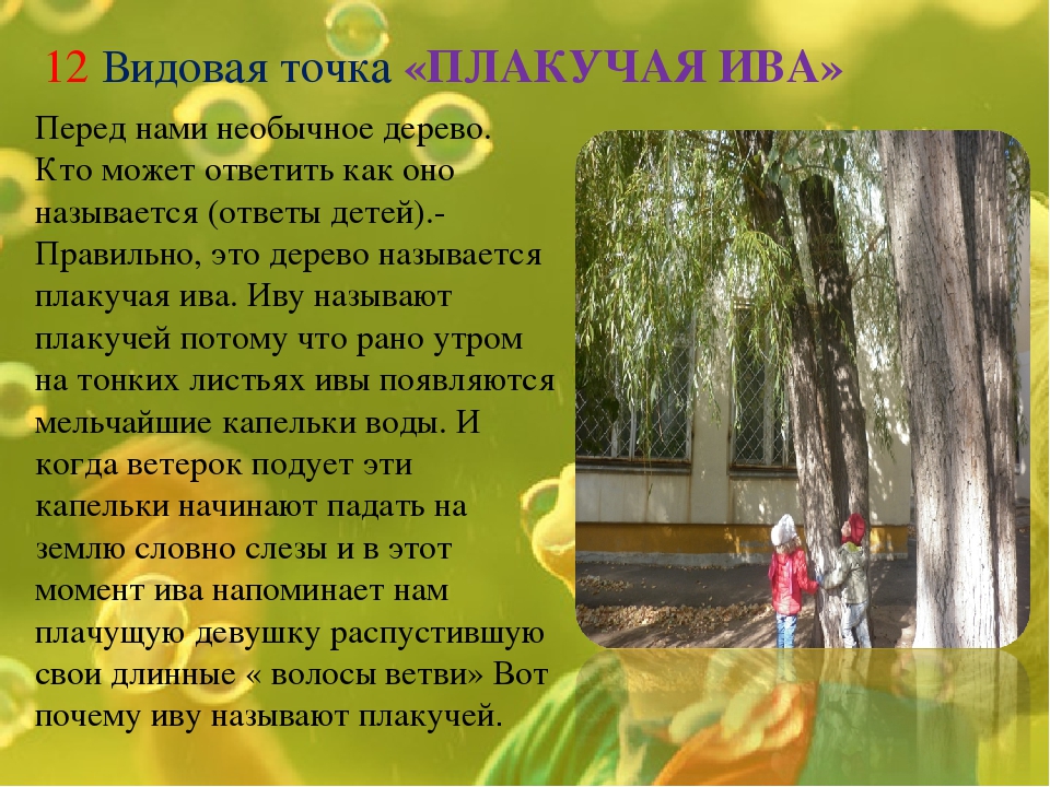 Экологическая тропинка как средство развития познавательных способностей дошкольников