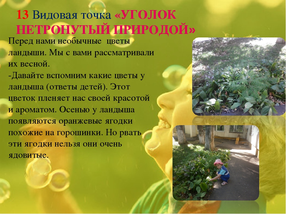 Экологическая тропинка как средство развития познавательных способностей дошкольников