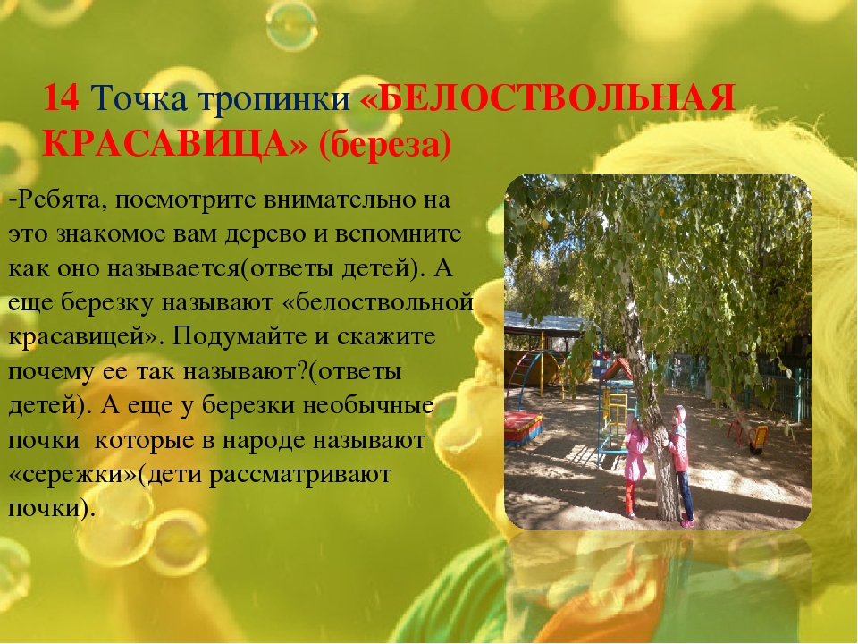Экологическая тропинка как средство развития познавательных способностей дошкольников
