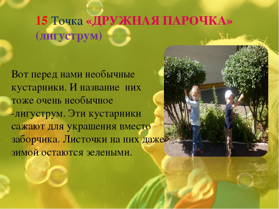 Экологическая тропинка как средство развития познавательных способностей дошкольников