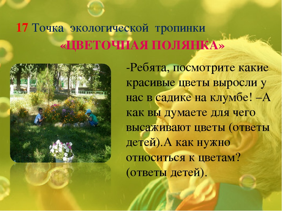 Экологическая тропинка как средство развития познавательных способностей дошкольников