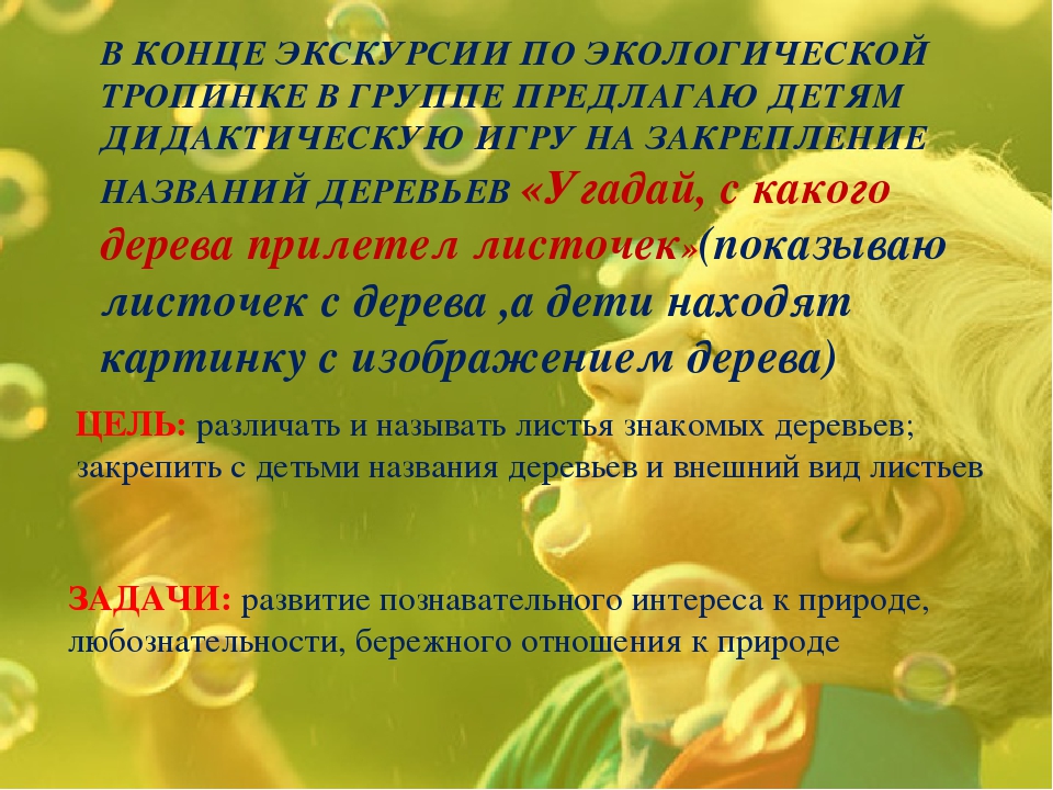 Экологическая тропинка как средство развития познавательных способностей дошкольников