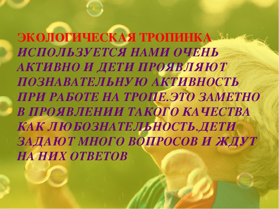 Экологическая тропинка как средство развития познавательных способностей дошкольников