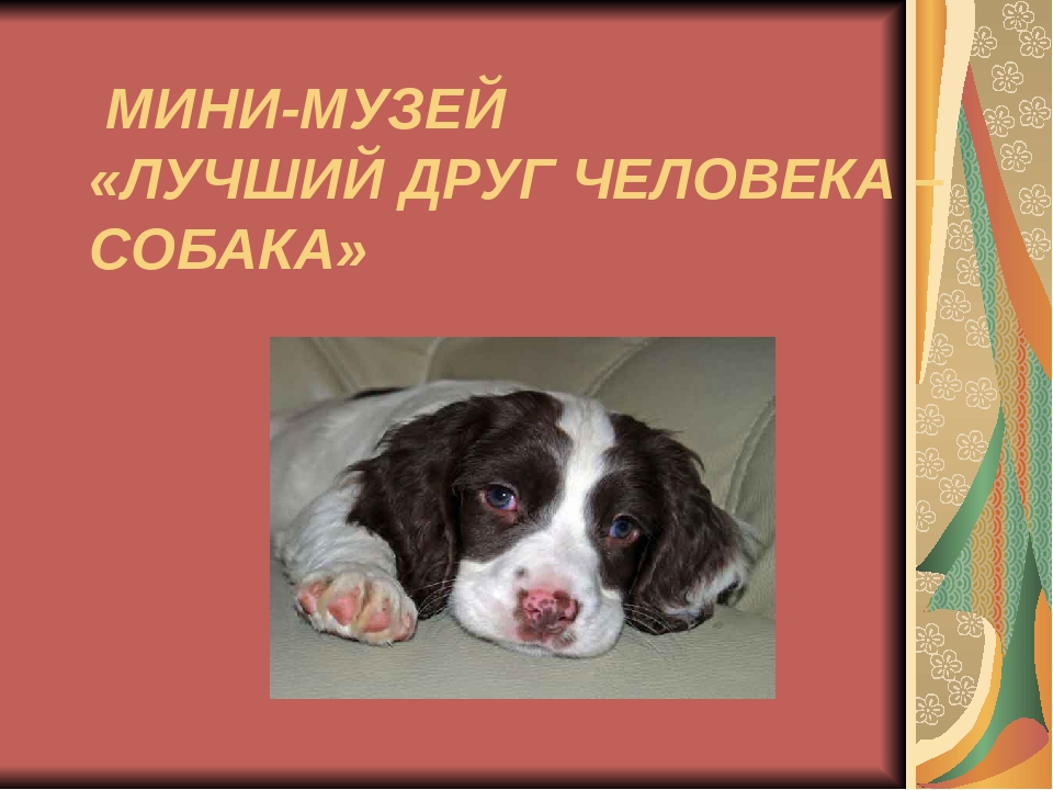 Презентация "Мини-музей "Лучший друг человека - собака"