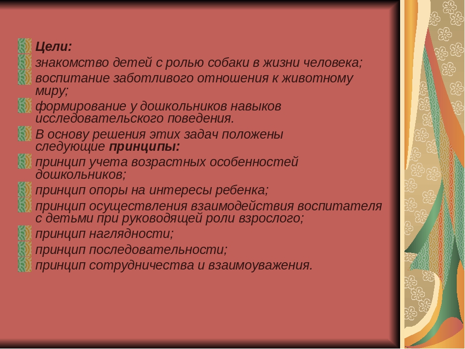 Презентация "Мини-музей "Лучший друг человека - собака"