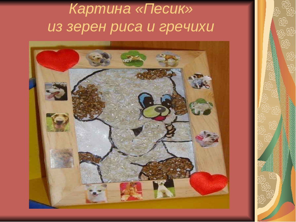 Презентация "Мини-музей "Лучший друг человека - собака"