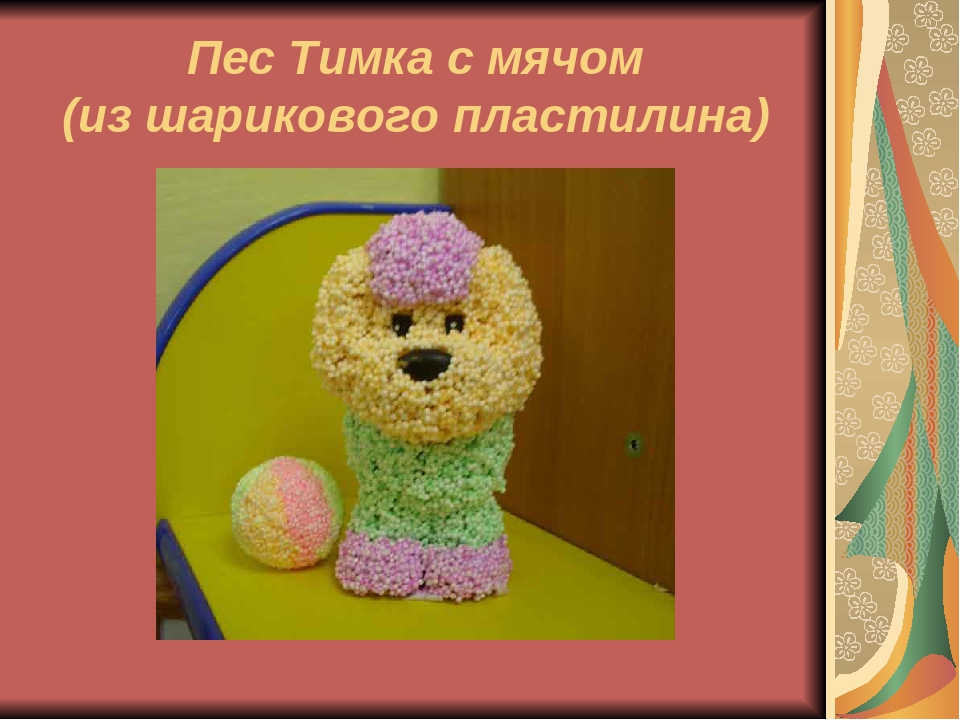 Презентация "Мини-музей "Лучший друг человека - собака"