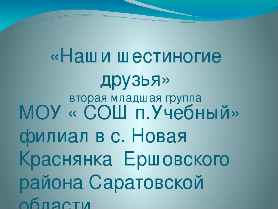 Презентация для второй младшей группы " Наши шестиногие друзья"