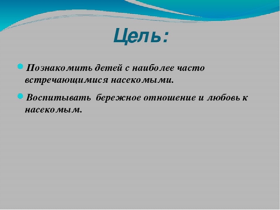 Презентация для второй младшей группы " Наши шестиногие друзья"