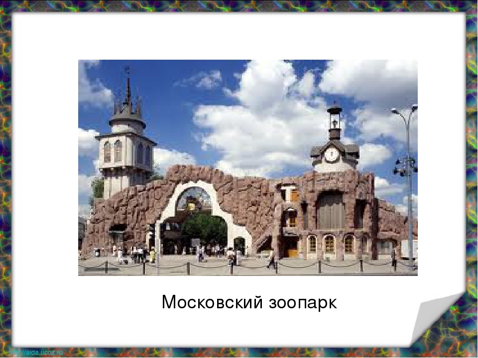 Презентация по окружающему миру на тему "Зоопарк"