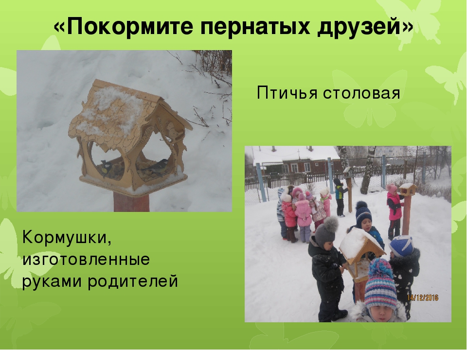 Презентация к семинару Социальные Акции