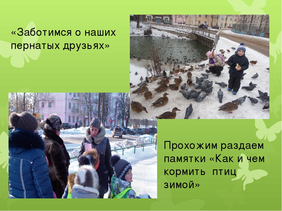 Презентация к семинару Социальные Акции